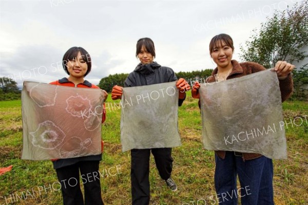 広尾町内の素材を使い、草木染めを体験した参加者