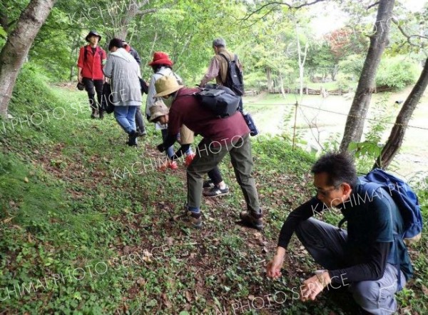 キノコの森林での役割などを学んだ参加者たち