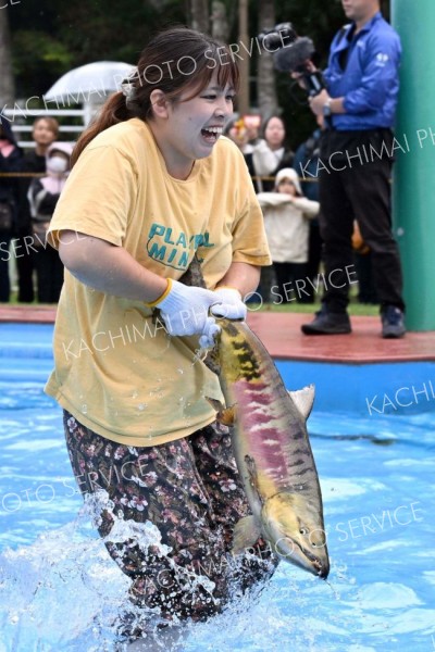 サケ、カニ、トウモロコシ…３万人、秋の味覚満喫～うらほろふるさとのみのり祭り・写真特集