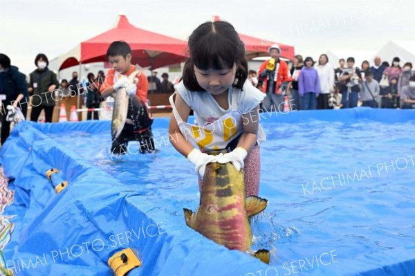 秋サケのつかみ取りに奮闘する子ども（２１日午前１１時１５分ごろ、須貝拓也撮影）