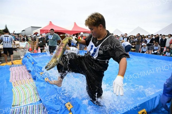 秋サケのつかみ取りで奮闘する参加者（２１日午前１１時ごろ、須貝拓也撮影）