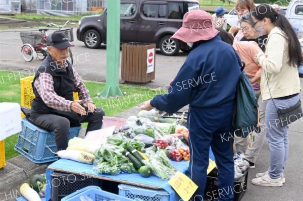 帯広のサラダ館で青空市、新鮮野菜並ぶ