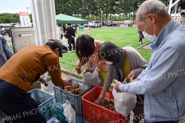 ジャガイモの詰め放題中の来場者