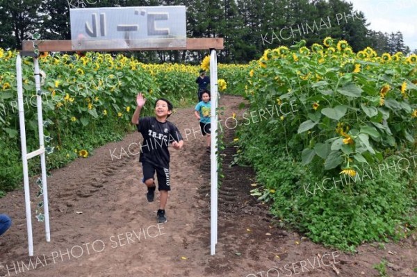 ひまわり迷路のゴールに笑顔で飛び込む自動たち