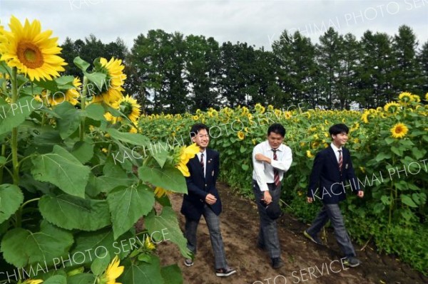 草取りや通路整備に取組み、完成させた迷路を回る更農生たち