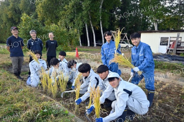 稲田町で稲作復活　帯農高でプロジェクト　碧雲蔵で麹などに