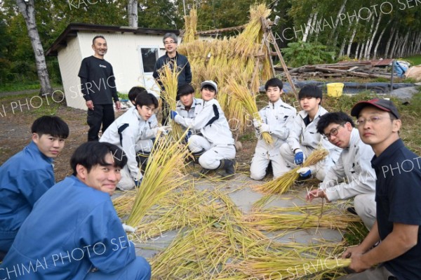 収穫した稲をはさがけする生徒たち（右が高山教諭、後方右が若山さん）