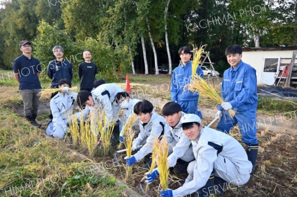 たわわにみのった稲を刈り取る生徒たち（後方左から高山教諭、若山さん）