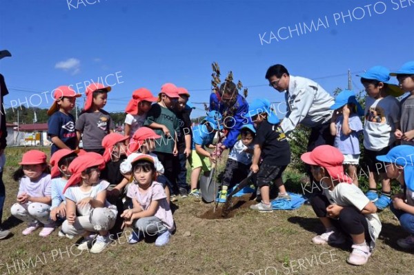 保育園でエゾヤマザクラを植樹　日高信金広尾支店 3