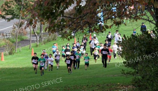 起伏に富んだコースを駆け抜ける参加者。２・１キロ小学４～６年生男子の部は松山雄世さん（中央、ゼッケン２５）と弟の開晴さん（ゼッケン２６）が優勝を分け合った