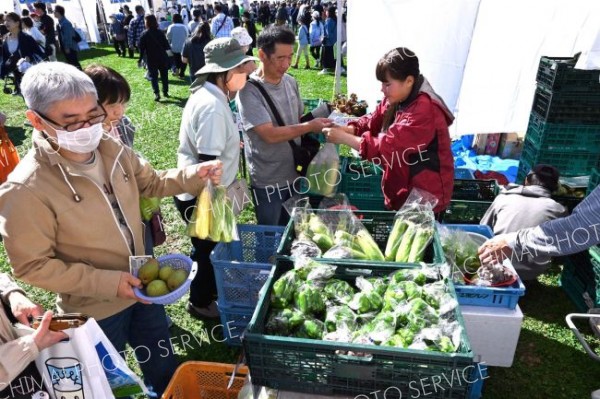 音更町で収穫された旬の野菜などを買い求める来場者（６日午前１１時ごろ、道の駅おとふけで。金野和彦撮影）