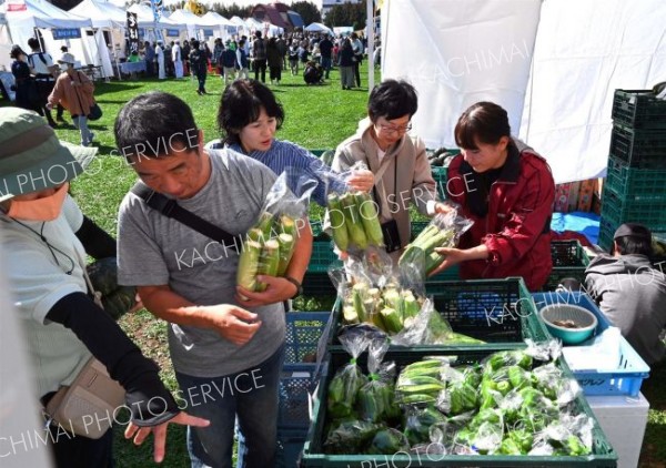 音更町で収穫された旬の野菜などを買い求める来場者（６日午前１１時ごろ、道の駅おとふけで。金野和彦撮影）