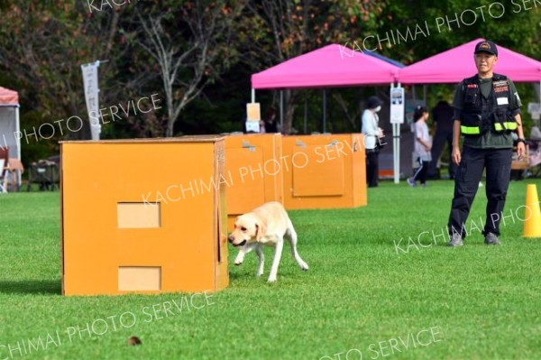 救助犬の嗅覚すごい！　災害救助犬が捜索実演