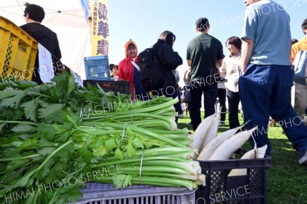 取れたて　帯広大谷短期大学の敷地内にある蘭華農園で取れた野菜を短大生らが会場で販売し、音更の味覚を求める来場者たちの人気を集めた