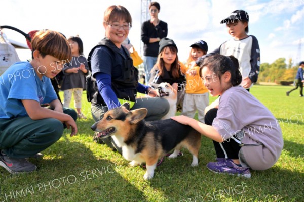 「かわいい！」捜索実演終了後に救助犬とふれあう子どもたち。犬種に関係なく救助犬として活躍できる