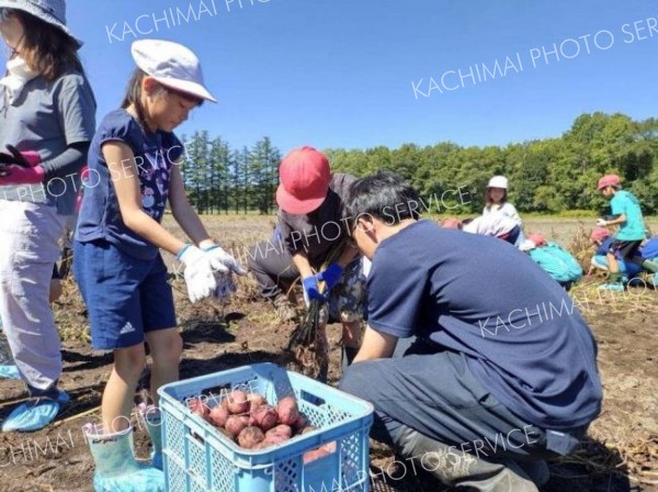 本別中央小児童が収穫体験に笑顔　農大生らも協力