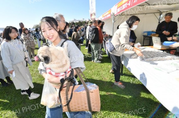 ペットと一緒に来訪れた来場客