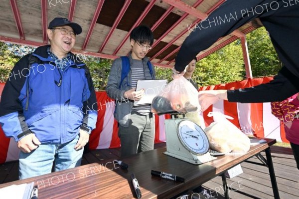 野菜重量当てクイズで奮闘する出場者（１３日午前１０時半ごろ、須貝拓也撮影）