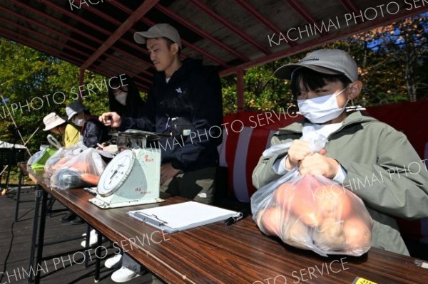 野菜重量当てクイズで奮闘する出場者（１３日午前１０時半ごろ、須貝拓也撮影）