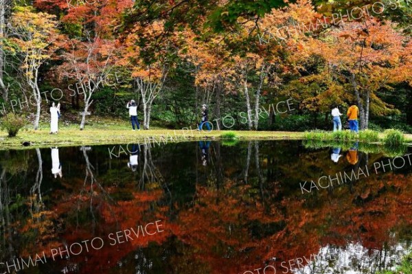 秋色、深まる　鹿追・福原山荘で紅葉が見頃　２０日まで無料公開 6