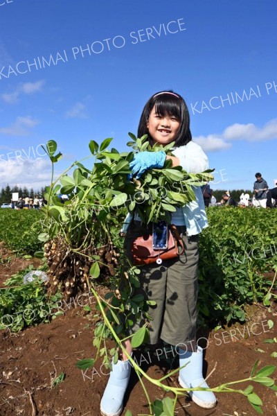 収穫した落花生を掲げ笑顔を見せる子ども（６日午前１１時ごろ）