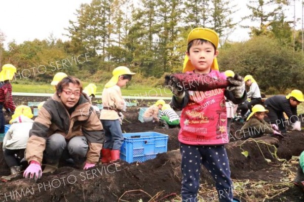 収穫したサツマイモを掲げる園児