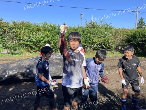 秋サケ水揚げに歓声　大樹すてっぷ「秋キャンプ」 3