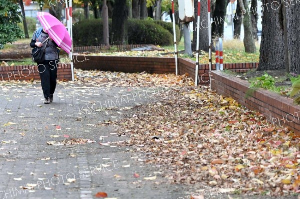 きょう「霜降」　大雨に注意