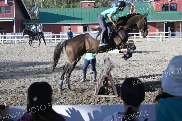 障害物を飛び越える馬と馬術部員