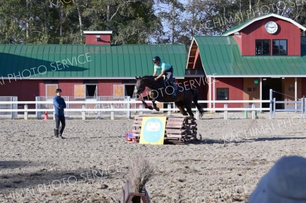 障害物を飛び越える馬と馬術部員