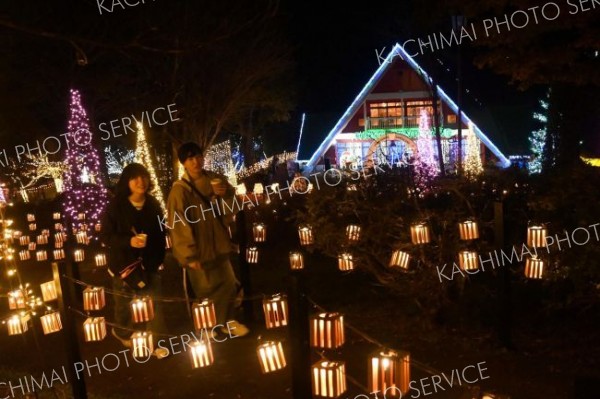 点灯を開始した大丸山森林公園のイルミネーション