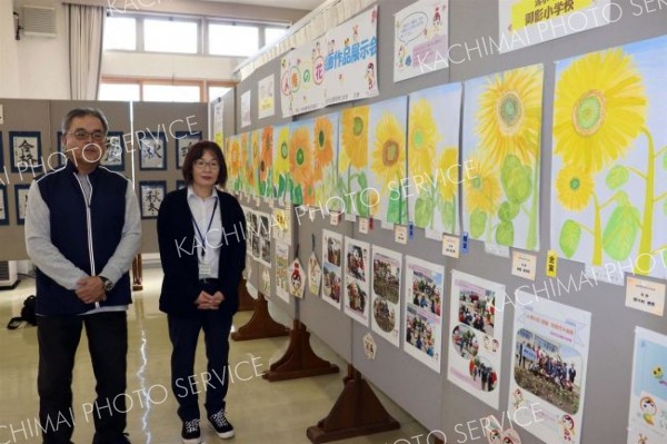 御影小児童描いたヒマワリの絵を展示　人権の花運動