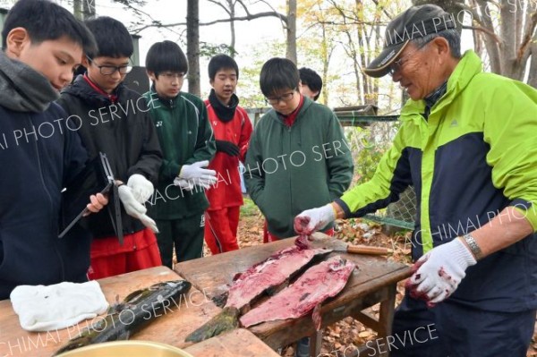 サケ稚魚放流目指し人工授精　八中自然観察少年団 2