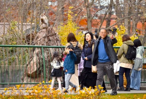 夏季開園最終日に、秋の深まる園内で動物を見て回る来園者（４日、午前９時半ごろ。金野和彦撮影）