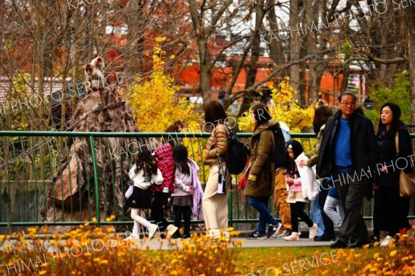 動物を見て回る来園者（４日、午前９時半ごろ。金野和彦撮影）