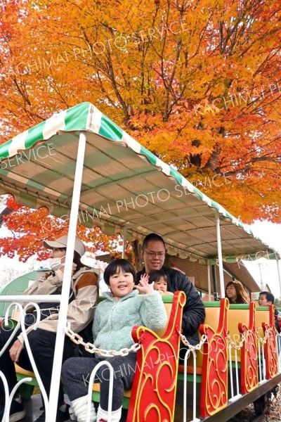 遊具を楽しむ来場者（４日、午前１１時半ごろ。金野和彦撮影）