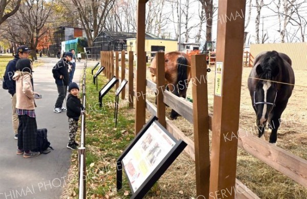 動物を見て回る来園者（４日、午前１０時ごろ。金野和彦撮影）