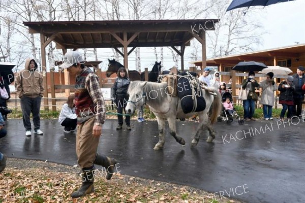 ドサンコで運搬の歴史伝える　おびひろ動物園で「駄載」実演