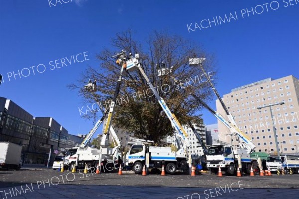 駅前イルミネーション設置開始　冬を彩る光を　点灯は１２月７日