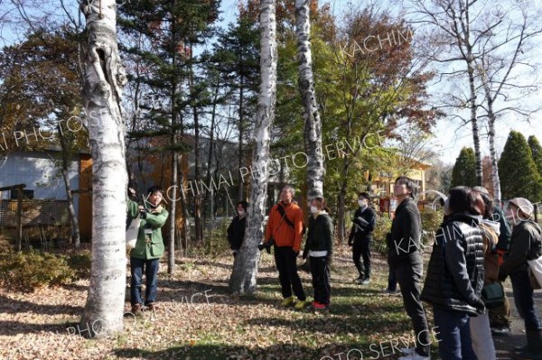 食事するリスの姿見つけ歓声も　緑ケ丘公園で観察会　マナーなど学ぶ