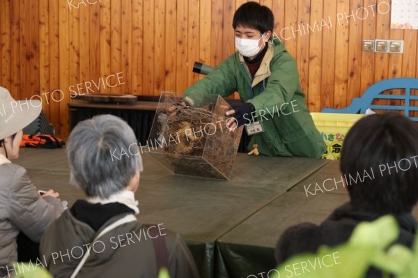 リスの巣を解説する大熊副センター長（１０日午前１０時１０分ごろ、助川かおる通信員撮影）