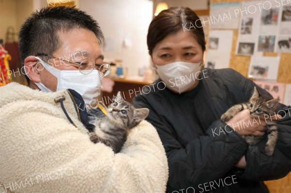 保護猫譲渡会「いい出会いあった」　１００人超が来場～こぼれ話