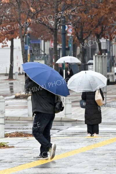 雨の「小雪」、十勝は平年よりも気温高め　あすは雪か雨予報