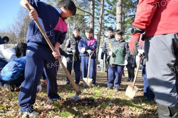 植樹体験で森林学ぶ　幕別札内東中～まちマイ幕別編