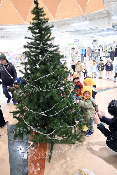 クリスマスツリーに飾り付けを行った園児ら