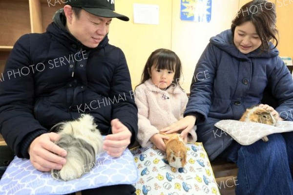 「あったかいね」とモルモットに触れる親子連れ（１日午前１１時２０分ごろ、おびひろ動物園で、助川かおる通信員撮影）