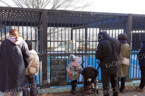 ホッキョクグマを観察する家族連れ（１日午前１１時半ごろ、おびひろ動物園で、助川かおる通信員撮影）