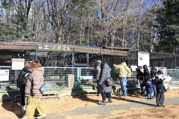 人気のエゾタヌキを観察する来園者（１日午前１１時半ごろ、おびひろ動物園で、助川かおる通信員撮影）