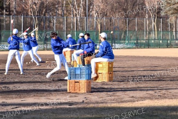 雪のないグラウンドでバッティング練習をする帯南商の野球部員（７日、午前９時１５分ごろ、帯広南商業高校で。金野和彦撮影）