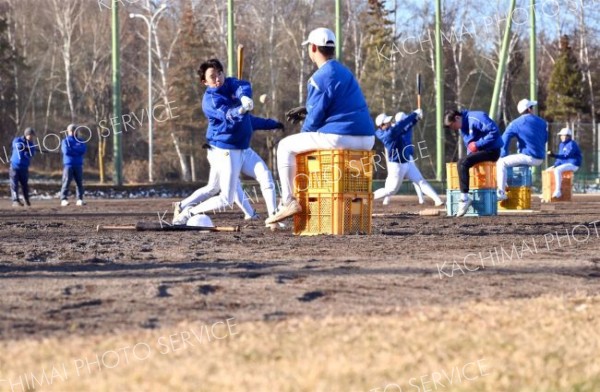 雪のないグラウンドでバッティング練習をする帯南商の野球部員（７日、午前９時２０分ごろ、帯広南商業高校で。金野和彦撮影）